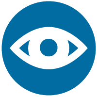 icon vision